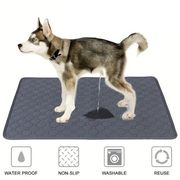 Reusable Dog Pee Pad – Washable & Waterproof Mat