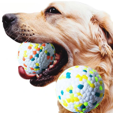 Dog Ball Toy - Bite-Resistant