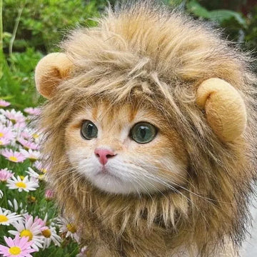 Adorable Lion Mane Hat for Pets – Funny Cat & Dog Costume Wig with Fluffy Ears – Perfect for Photos & Parties
