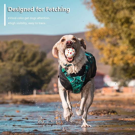 Dog Ball Toy - Bite-Resistant