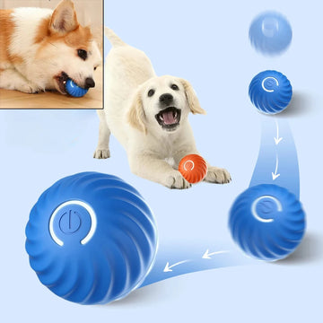 Smart Moving Dog Ball – USB Rechargeable & Interactive