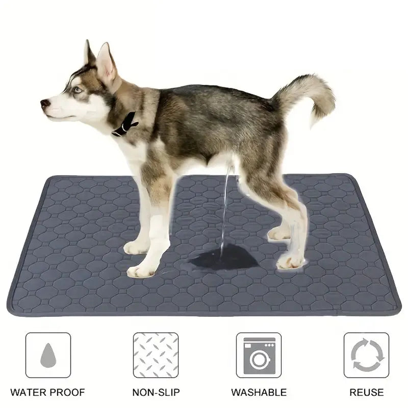 Reusable Dog Pee Pad – Washable & Waterproof Mat