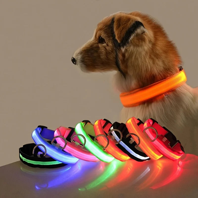 LED Night Safety Dog Leash – Glows in the Dark