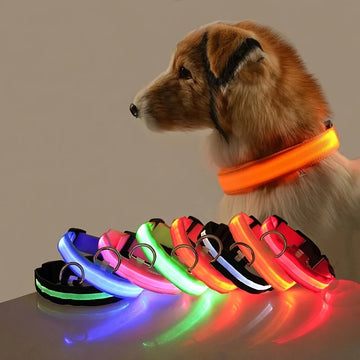 LED Night Safety Dog Leash – Glows in the Dark